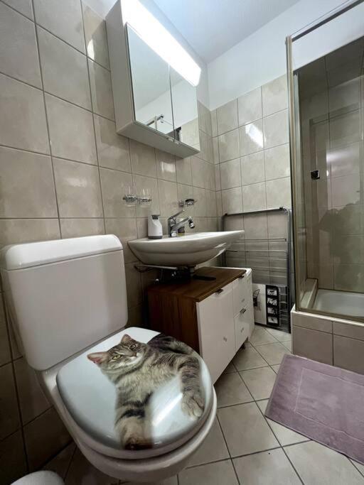 Apartment Lovely 2 Bedrooms In Platz, *