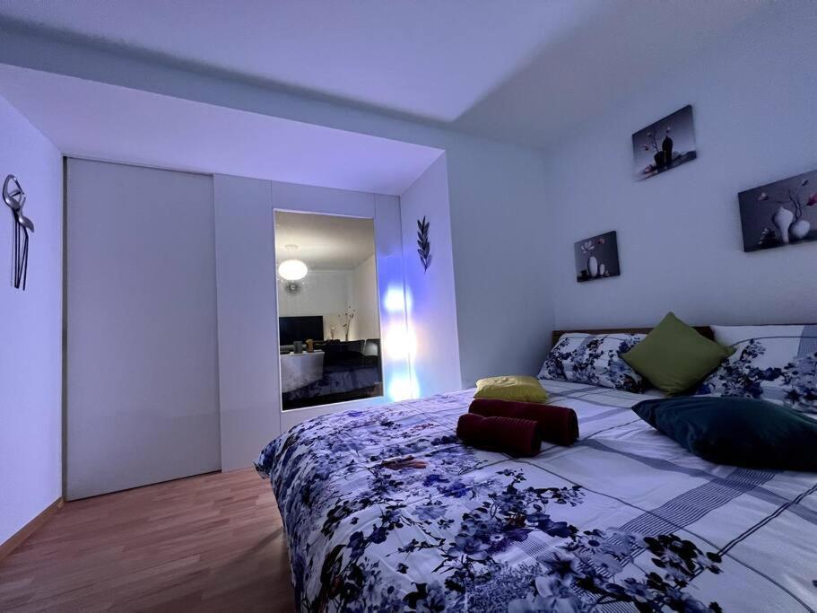 Apartment Lovely 2 Bedrooms In Platz, *